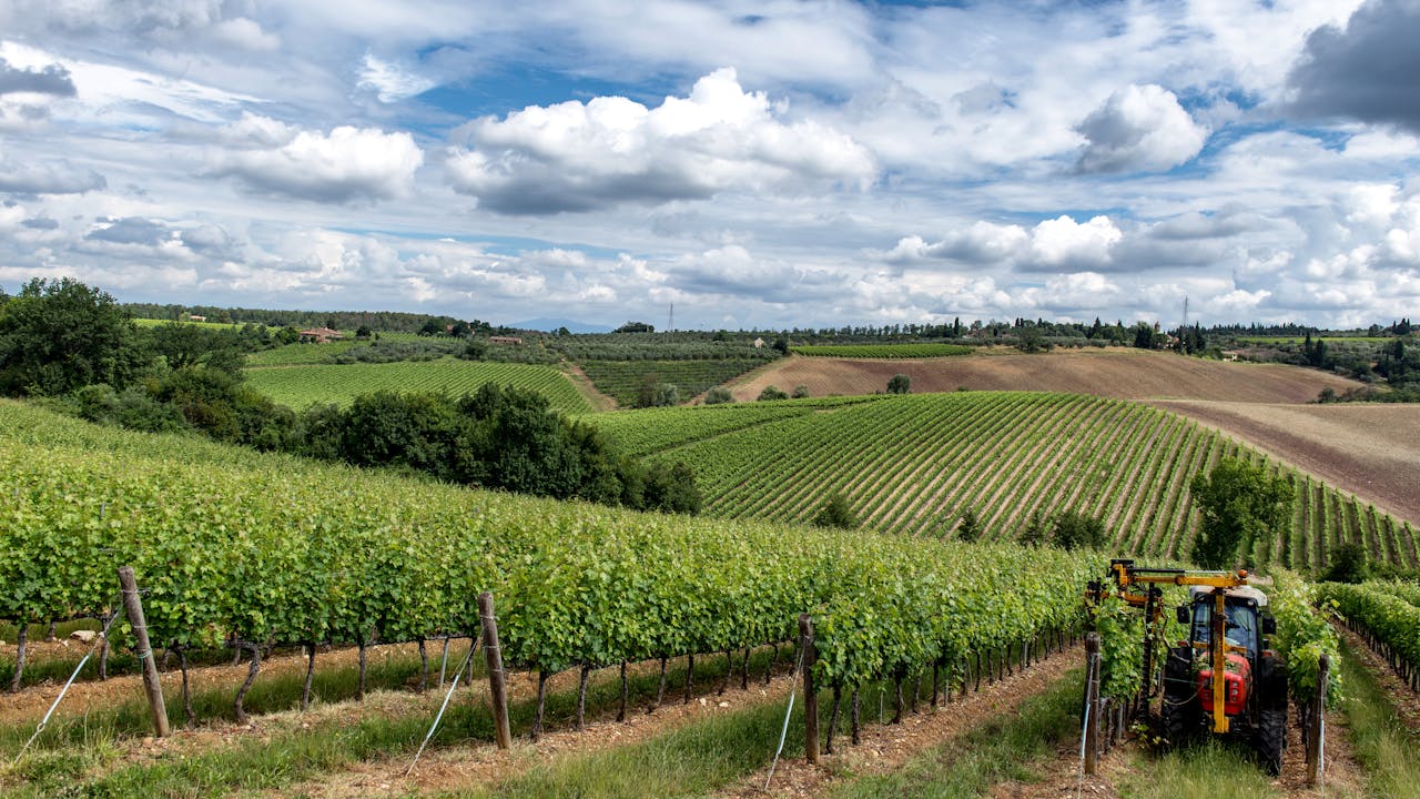 Scenic view of a Tuscany vineyard under vibrant clouds with a tractor tending the fields.