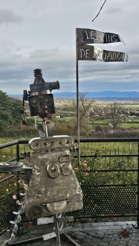 Wine Tasting in Côtes du Forez, France Cave de la Madone