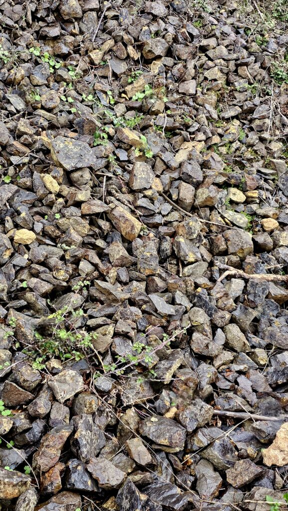 Wine Tasting in Côtes du Forez, France Basaltic lava flow from an ancient volcano in the vineyards of Côtes du Forez