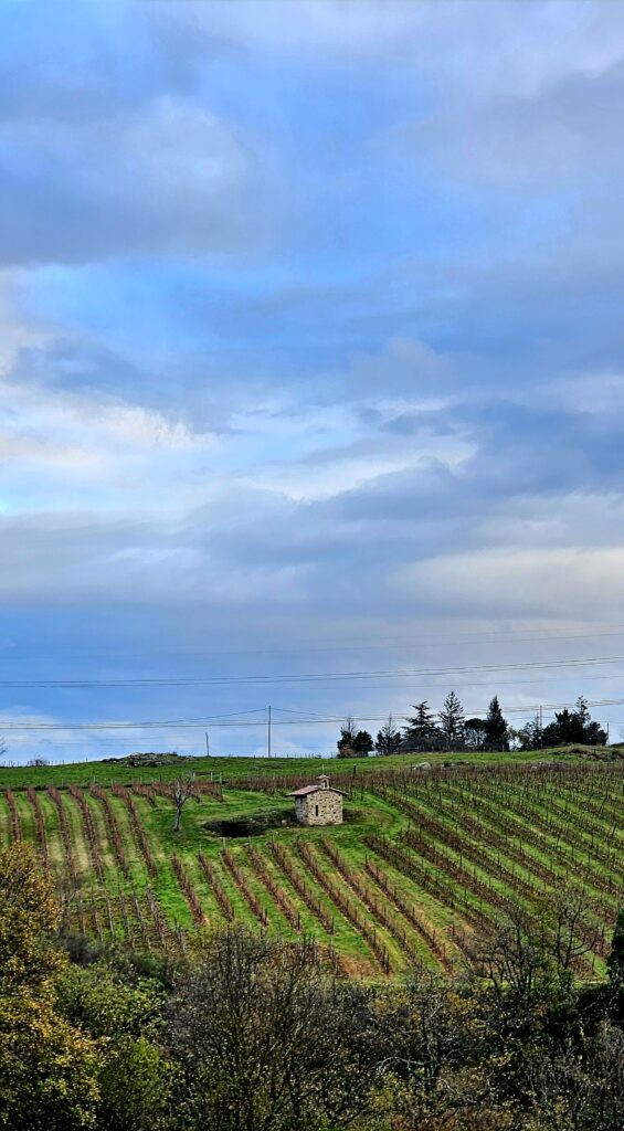 wine tasting in france: Northern Rhône & Volcanic Loire The lodge by the Vineyards in Côtes du Forez