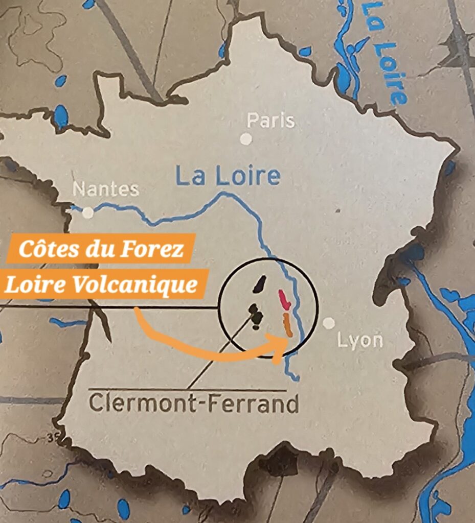 Wine Tasting in Côtes du Forez, France Volcanic wine region Côtes du Forez