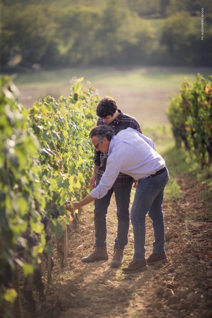 Wine Story Born in the Heart of Tuscany | Geografico famiglia territorioe tradizione sono ...