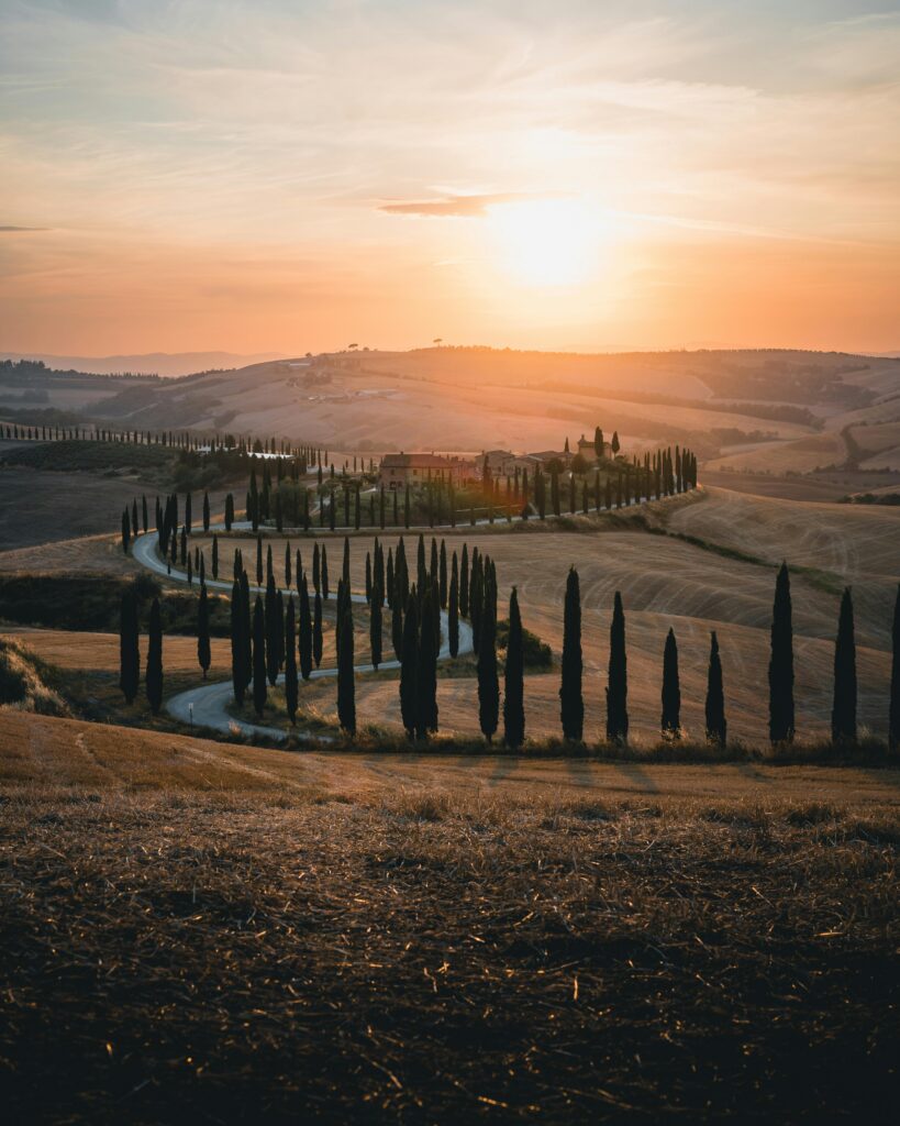 Wine Story Born in the Heart of Tuscany | Geografico Stunning sunset view of Tuscany