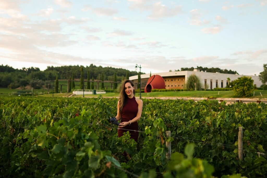 A woman standing amidst grapevines in a vineyard at sunrise in Çanakkale, Türkiye.