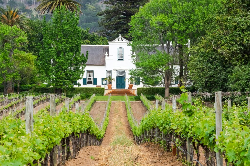 Stunning Cape Dutch manor house surrounded by lush vineyards in Cape Town, South Africa.
